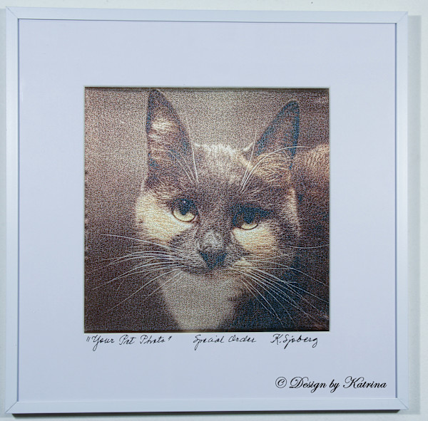 Your Pet Photo by Katrina Sjoberg