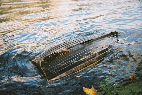 Amsterdam, 2019.  Photograph by Patricia Buck, Image 2.