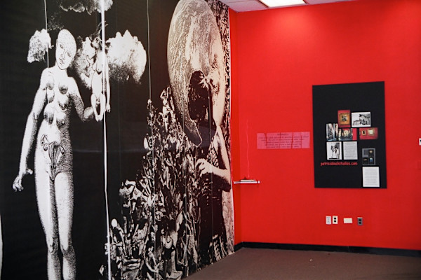 Installation of Genetics/Memetics, Artomatic 2002 by Patricia Buck