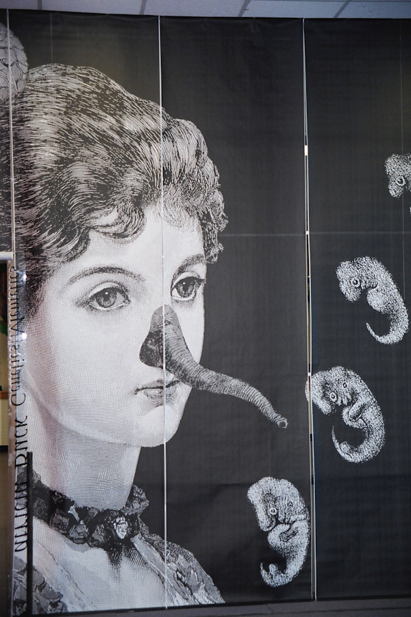 Installation of Genetics/Memetics, Artomatic 2002 by Patricia Buck