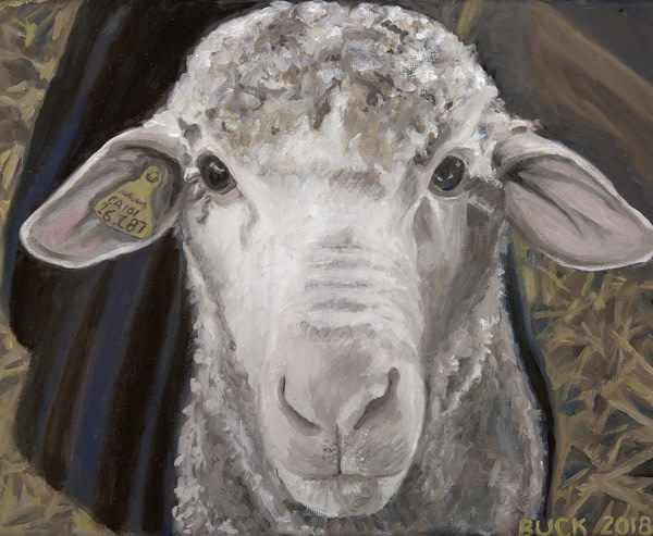 Ewe by Patricia Buck, Image 1.