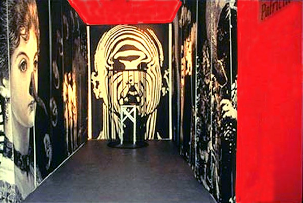 Genetics/Memetics: Pirate Contemporary Art, Denver, CO by Patricia Buck