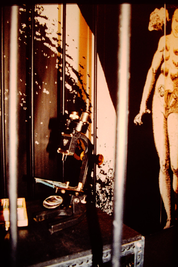 Genetics/Memetics: detail, a vintage microscope in a constructed jail. by Patricia Buck, Image 1.