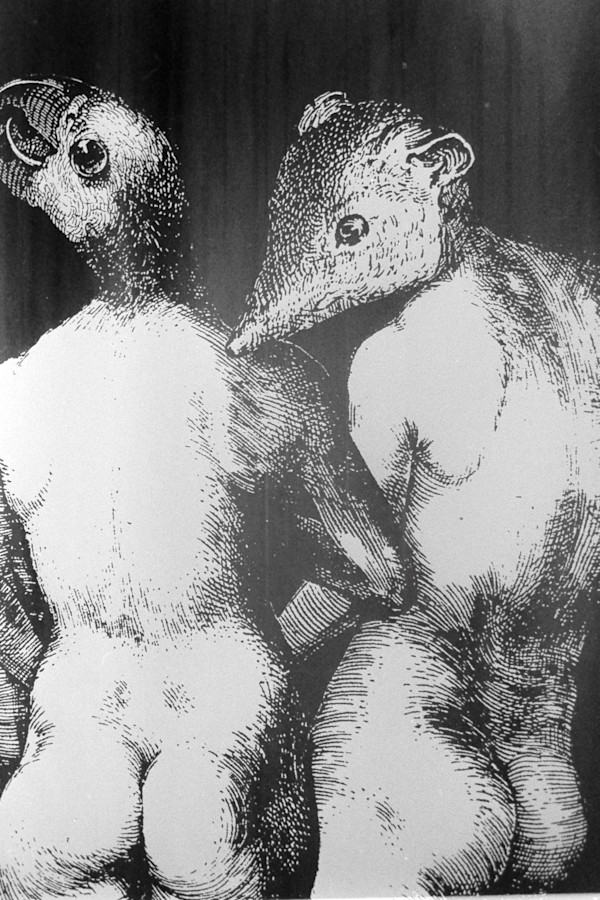 Genetics/Memetics, detail. by Patricia Buck, Image 1.