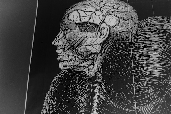 Detail view: Genetics/Memetics by Patricia Buck, Image 1.