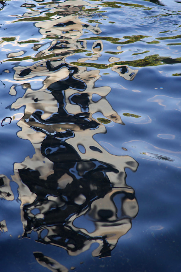 Waterborne, a photographic series printed on aluminum panels. You choose which image. by Patricia Buck
