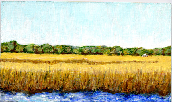 Uncle Daddy's Marsh by Patricia Buck, Image 5.