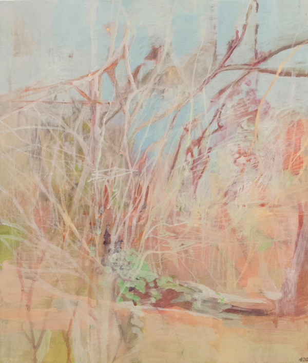 Lowveld bush and rock by Angela Briggs