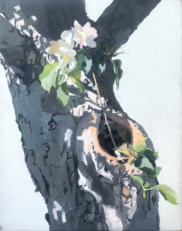 Apple Tree Orifice 4 by Betsy Jacks