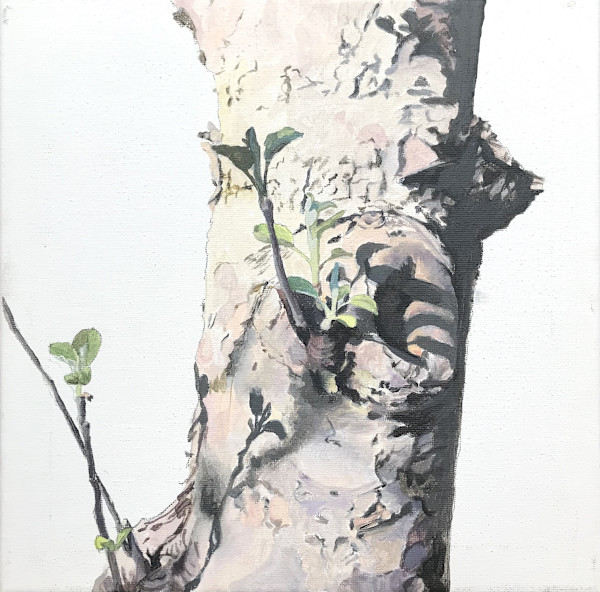 Apple Tree Orifice 1 by Betsy Jacks