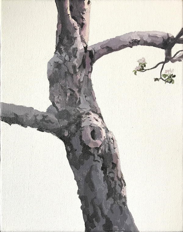 Study for Apple Tree 9 (Standing) by Betsy Jacks