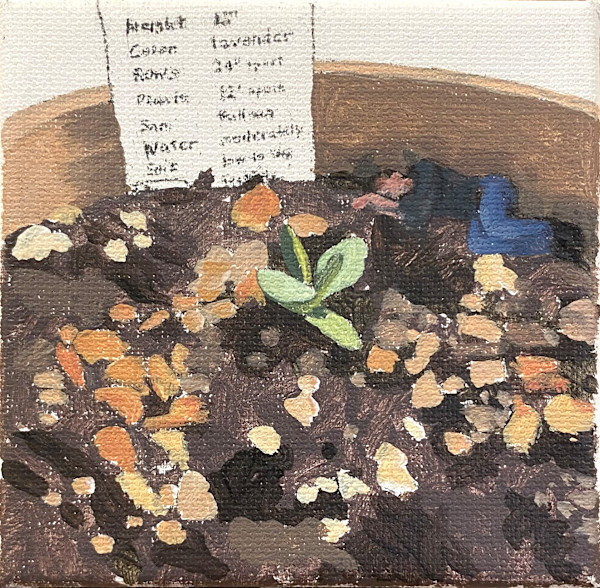 Tiny Sprout 1 (Lavender) by Betsy Jacks