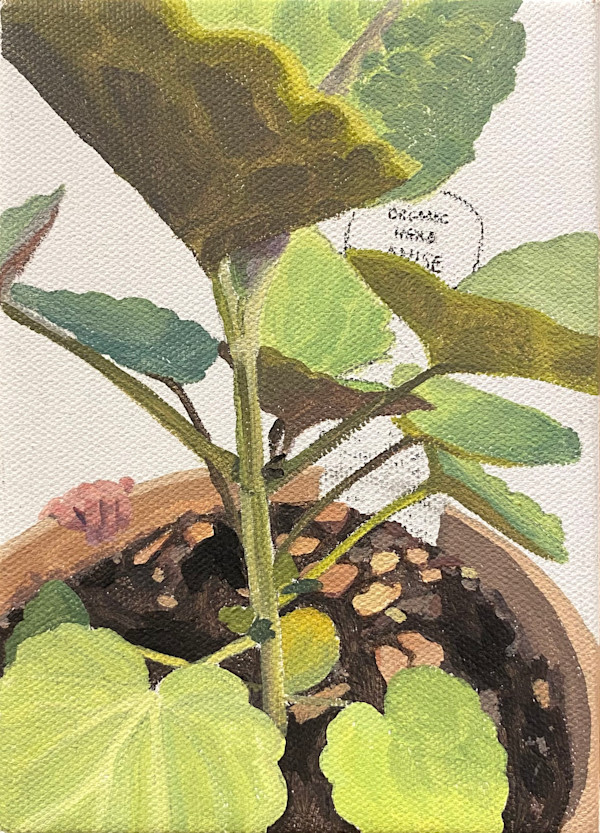 Anise Hyssop by Betsy Jacks