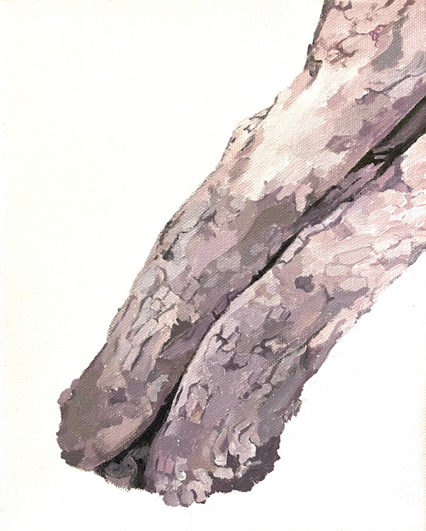 Study for Apple Tree 7 (leaning) by Betsy Jacks