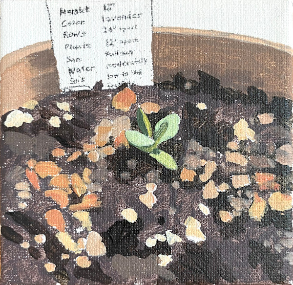 Tiny Sprout 1 (Lavender) by Betsy Jacks
