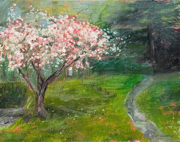 Backyard Apple Tree Blossoms by Brandon Waite