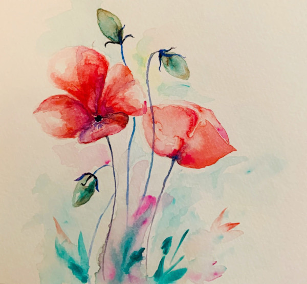 Two Poppies by Diego Alba