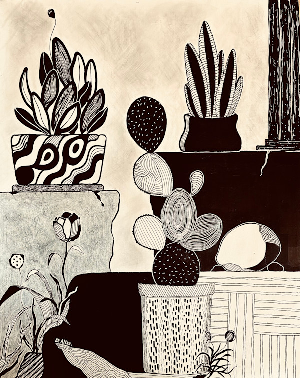 Black And White Succulents by Diego Alba