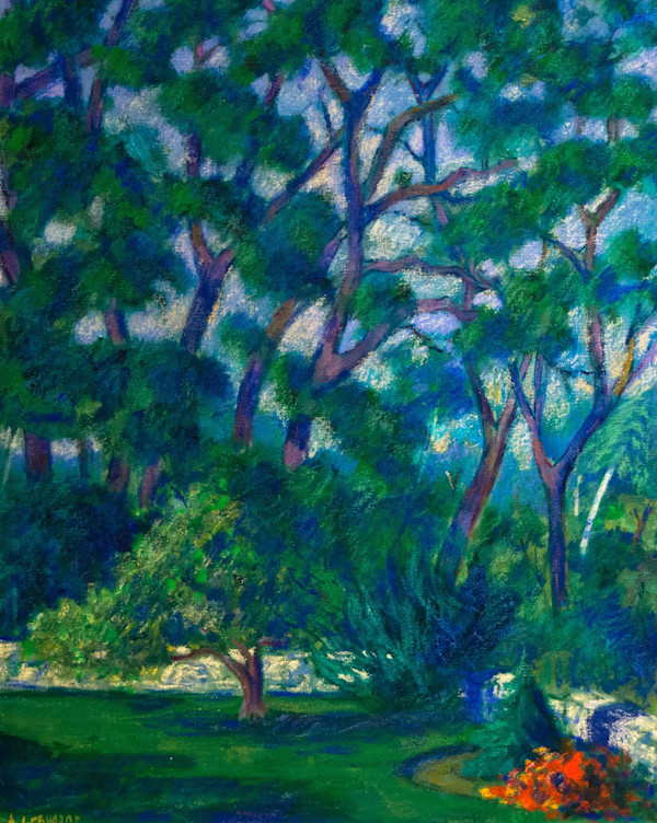 Backyard Tree by Arthur Gebhardt