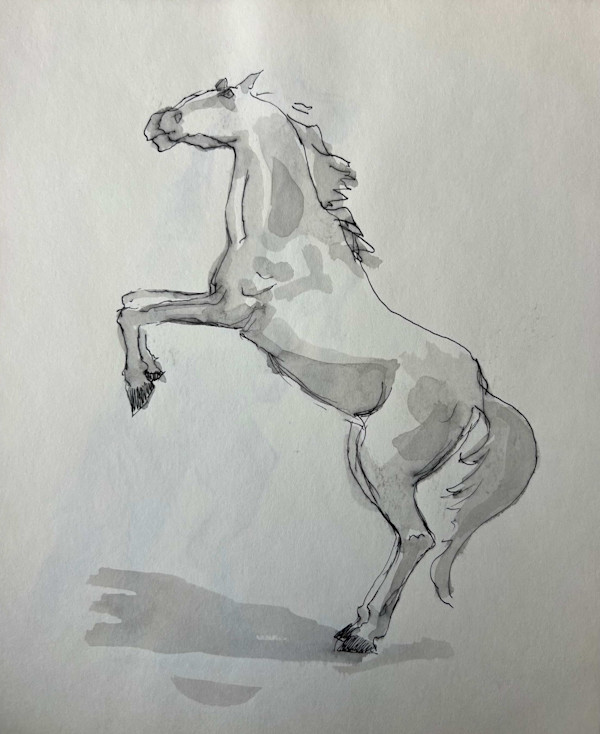 Bucking Horse Profile by Arthur Gebhardt