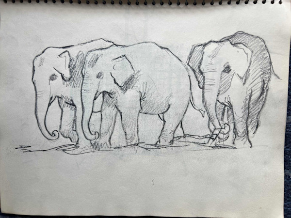 Elephants by Arthur Gebhardt, Image 3.