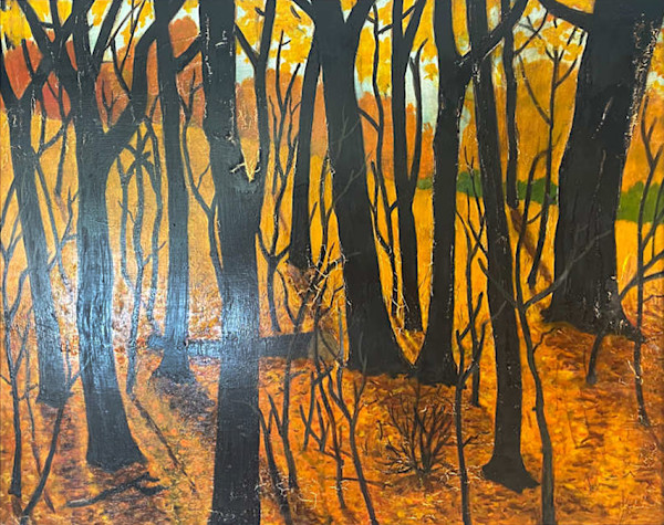 Karry's Woods in Grafton, WI by Arthur Gebhardt