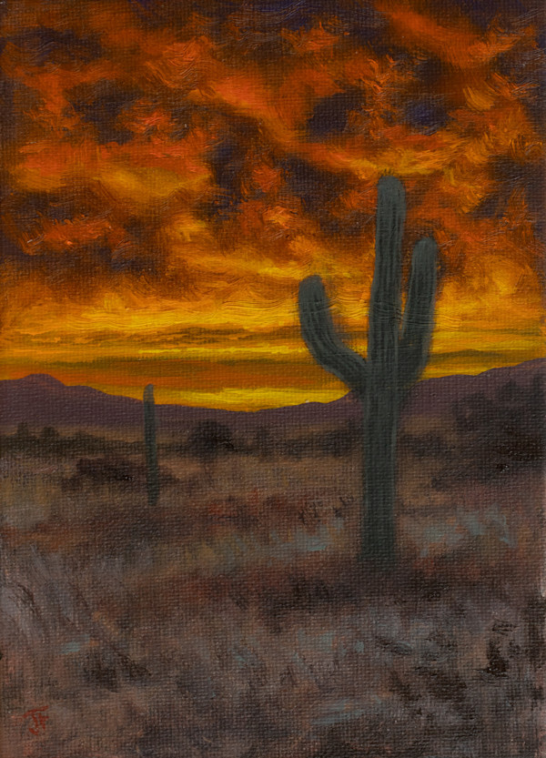 Cactus kisses by John Firestone, Image 6.