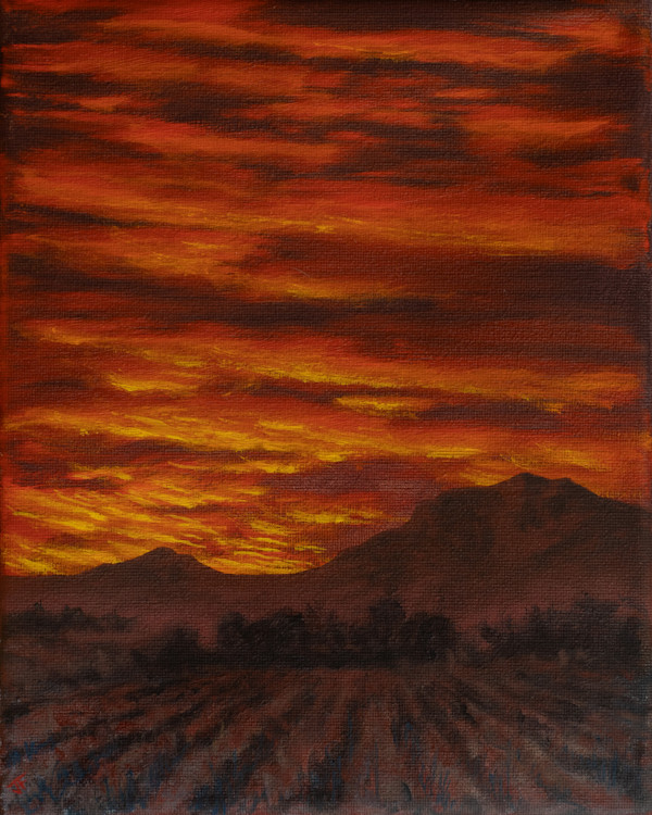 Desert Farm Awakening by John Firestone, Image 20.