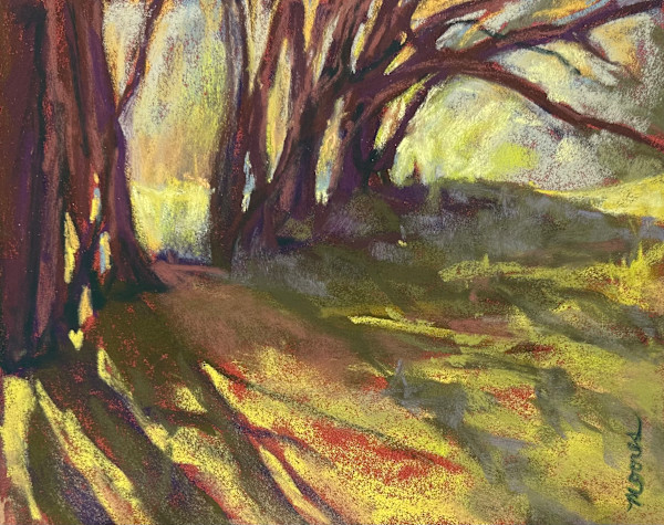 Echoes by Mary Moores