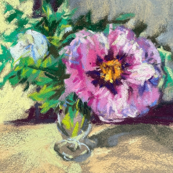 Dinner Plate Peony by Mary Moores