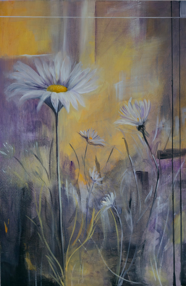 Delightful Daisies by Shannon Rios