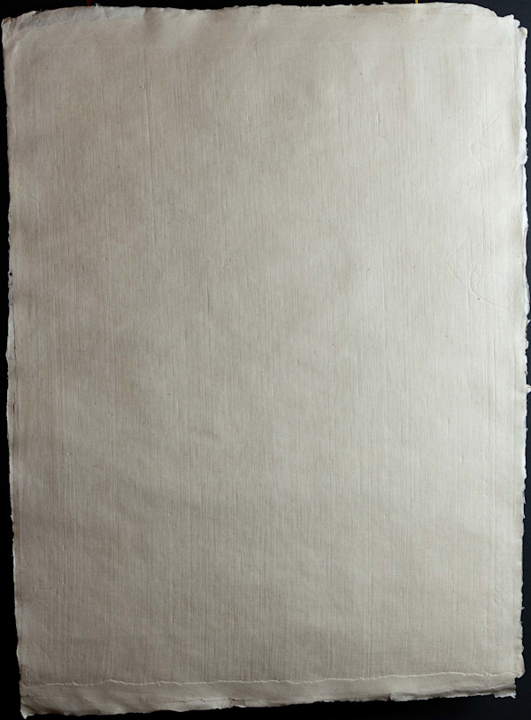 Unafraid/Unfrayed, Unbordered, Undeterred, Wasli 1/5 by Sarah Khan, Image 1.