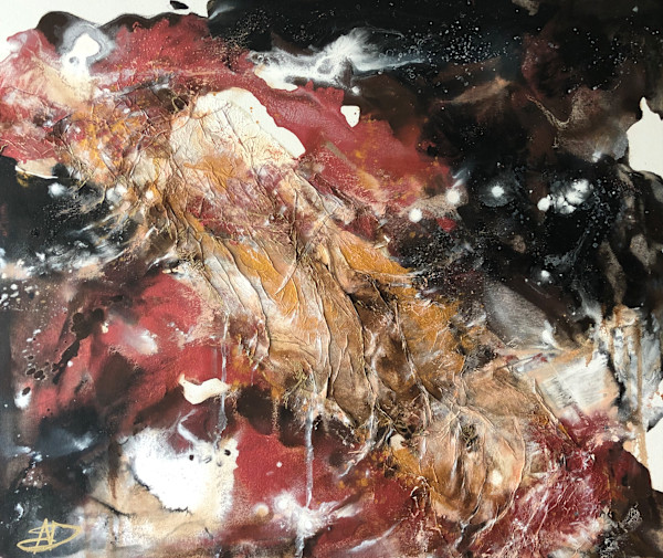 Phenomena by Dodo Newman