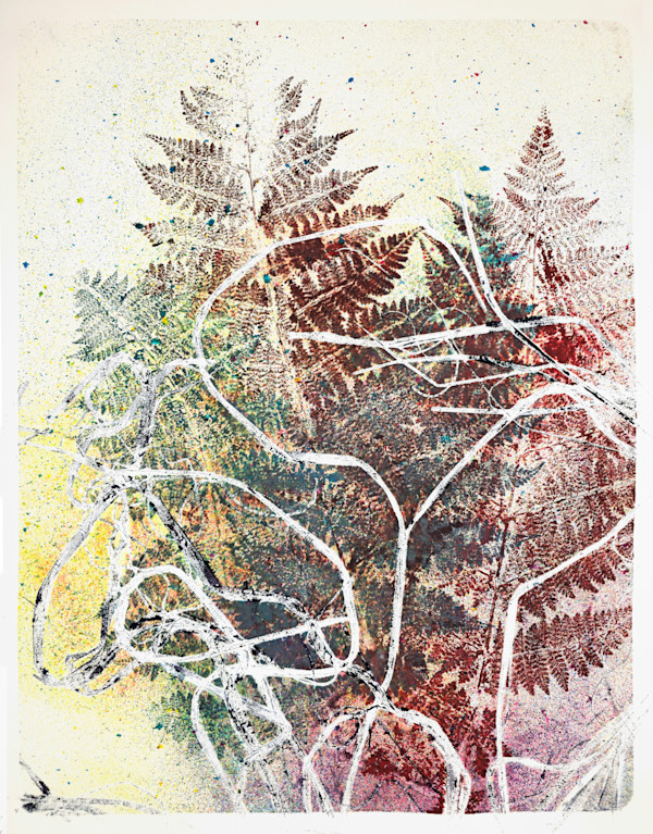 Echo Ferns.01 by Seth A. Crayton