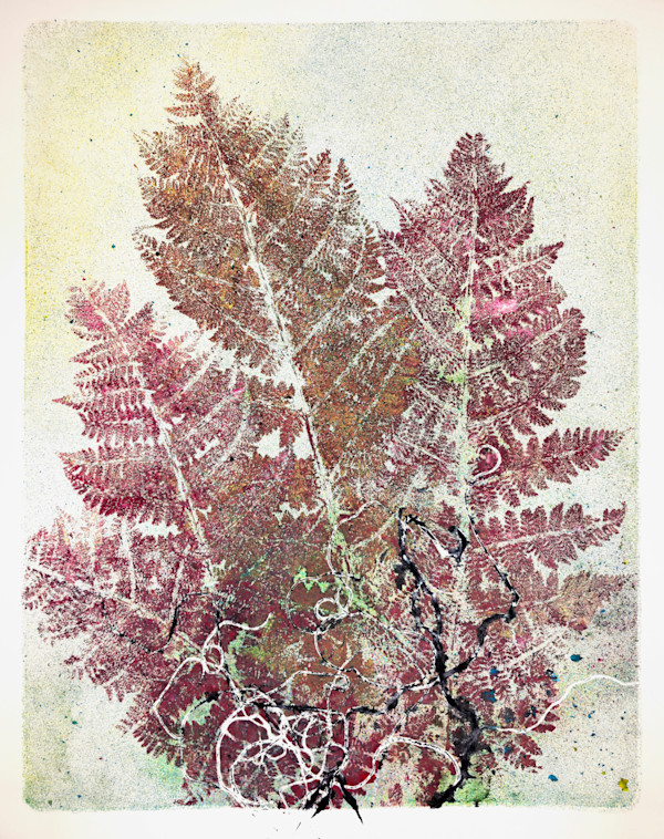 Echo Ferns.02 by Seth A. Crayton