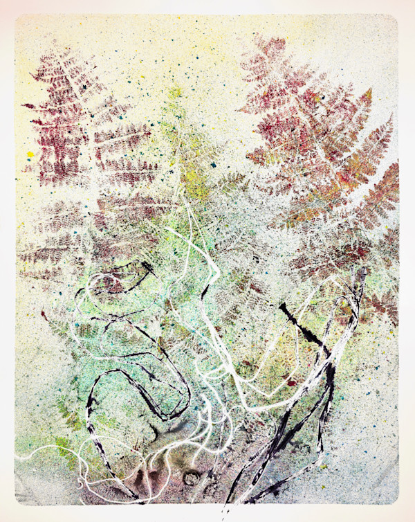Echo Ferns.03 by Seth A. Crayton
