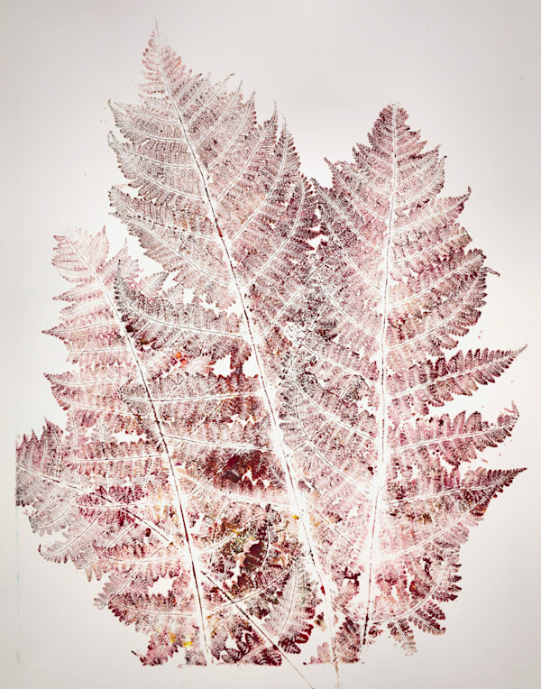 Echo Ferns.04 by Seth A. Crayton