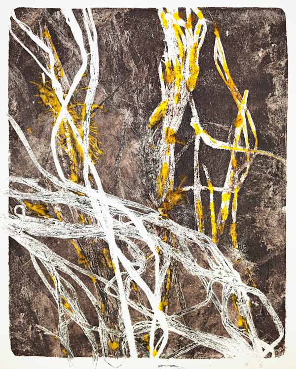 Entangled.02 by Seth A. Crayton