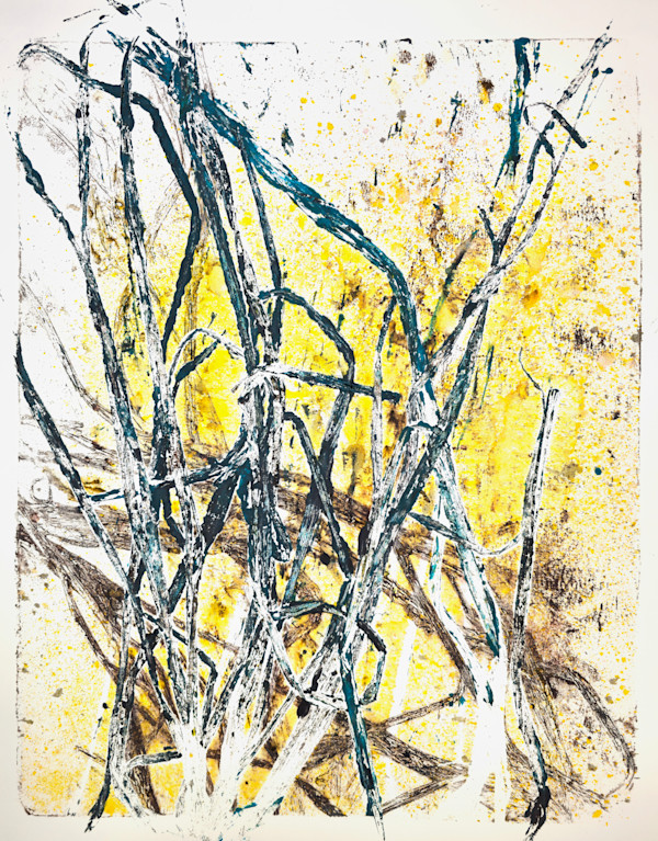 Entangled.08 by Seth A. Crayton