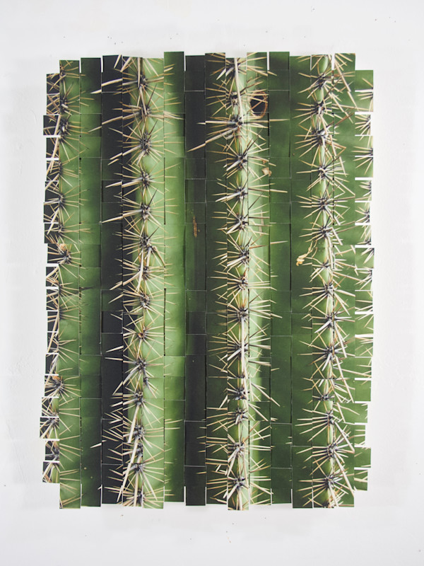 Cactus AZ #1 by Margaret Moench