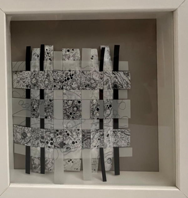 Cell Recombination (grey/tan mat) by Margaret Moench