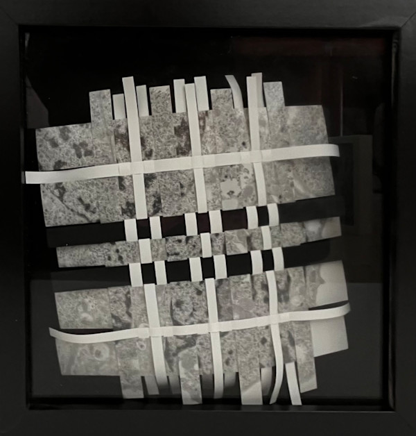 Cell Recombination (black mat) by Margaret Moench