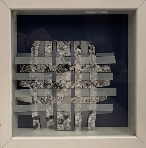 Cell Recombination (blue mat) by Margaret Moench