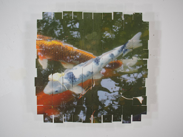 Golden Gate Park Koi #21 by Margaret Moench