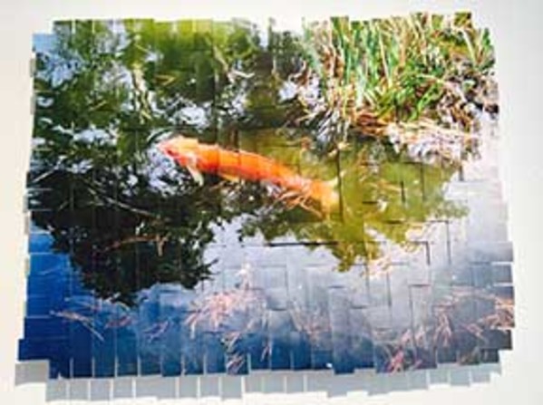 Golden Gate Park Koi #6 by Margaret Moench