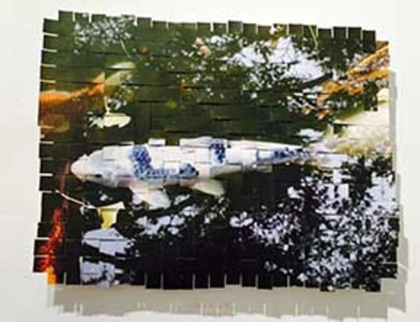 Golden Gate Park Koi #8 by Margaret Moench