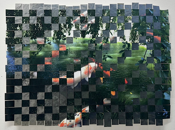 Brooklyn Koi #4 by Margaret Moench