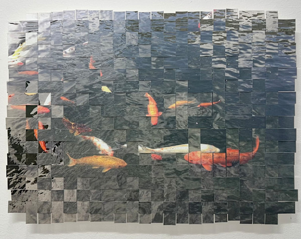 Brooklyn Koi #3 by Margaret Moench