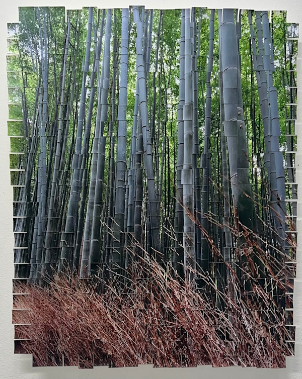 Bamboo Kyoto #2 by Margaret Moench