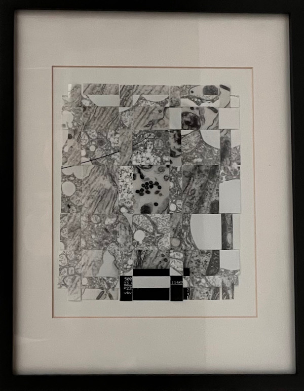 Cell Recombination by Margaret Moench